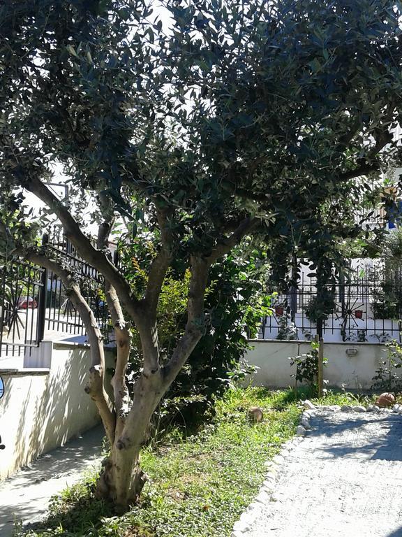 Mary Apartments Platamon Exterior foto